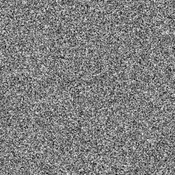A pseudorandomly generated bitmap