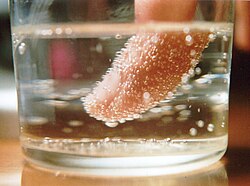 Nucleation of carbon dioxide bubbles around a finger