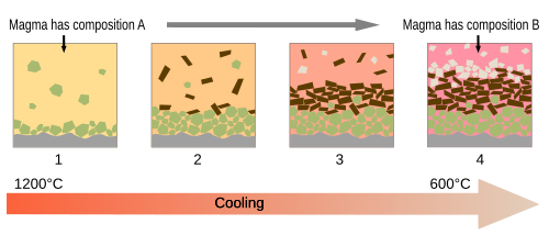 Schematic diagrams showing the principles behind fractional crystallisation in a magma. While cooling, the magma evolves in composition because different minerals crystallize from the melt. 1: olivine crystallizes; 2: olivine and pyroxene crystallize; 3: pyroxene and plagioclase crystallize; 4: plagioclase crystallizes. At the bottom of the magma reservoir, a cumulate rock forms.
