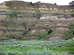The tilted mounds in slump formations formed when the streams that cut into the cliffs over-steepened them. Heavy Moisture led to land slides of blocks of overhanging earth. Thus the slumps retained their original layering sequence