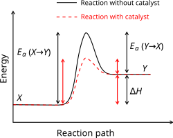 Schematic potential energy diagram showing the effect of a catalyst in an endothermic chemical reaction. The presence of a catalyst opens a different reaction pathway (in red) with lower activation energy. The final result and the overall thermodynamics are the same.