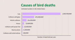 Selection of causes of bird deaths in the United States