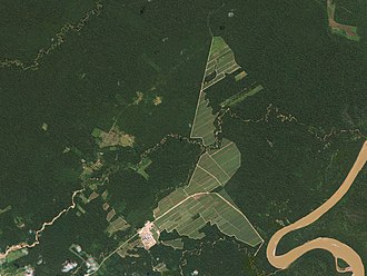 Deforestation in Bolivia, in June 2014