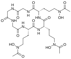 Ferrichrome, a hydroxamate siderophore