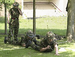 British Royal Engineers practice mine clearance.