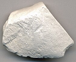 Chalk from the White Cliffs of Dover (Chalk Group), England