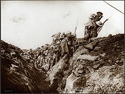 A battalion conducts a bayonet charge during the Battle of the Somme.