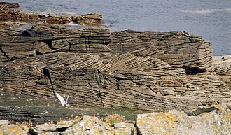 Cross-bedding in a fluviatile sandstone, Middle Old Red Sandstone (Devonian) on Bressay, Shetland Islands
