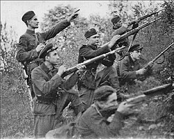 Ukrainian Insurgent Army in December 1943[51][52]