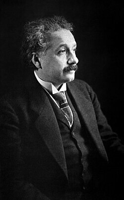Physicist Albert Einstein developed the general theory of relativity and made many substantial contributions to physics.