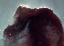 Cosmic dust of the Horsehead Nebula as revealed by the Hubble Space Telescope.
