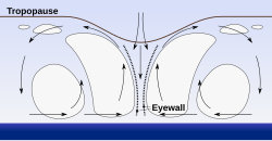Tropical cyclones form when the energy released by the condensation of moisture in rising air causes a positive feedback loop over warm ocean waters.[21]