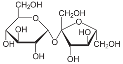 Haworth projection of sucrose