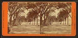 View of Boston, c. 1860; an early stereoscopic card for viewing a scene from nature