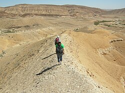 Geologists exploring Jurassic sedimentary rocks in Makhtesh Gadol, Negev Desert, Israel