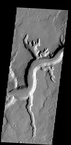 Mamers Valles rille on Mars.