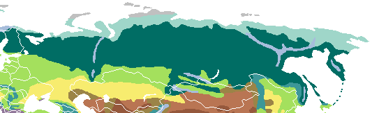 polar desert tundra alpine tundra taiga montane forest temperate broadleaf forest temperate steppe dry steppeVegetation in Siberia mostly consists of taiga, with a tundra belt on the northern fringe, and a temperate forest zone in the south.