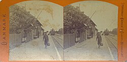 Holsted station, c. 1900.