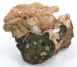 A combination specimen of four zeolite species. The radiating natrolite crystals are protected in a pocket with associated stilbite. The matrix around and above the pocket is lined with small, pink-colored laumontite crystals. Heulandite is also present as a crystal cluster on the backside.