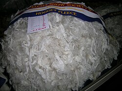 Champion hogget fleece, Walcha Show