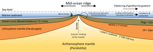 Mid-ocean ridge cross-section (cut-away view)