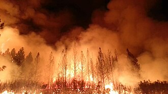 The Rim Fire consumed more than 250,000 acres (100,000 ha) of forest near Yosemite National Park, in 2013.