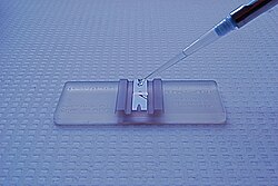 A counting chamber