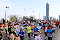 Vienna City Marathon crossing the Reichsbrücke in 2015
