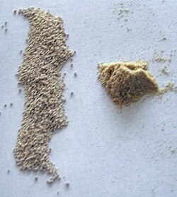 Dry winemaking yeast (left) and yeast nutrients used in the rehydration process to stimulate yeast cells.