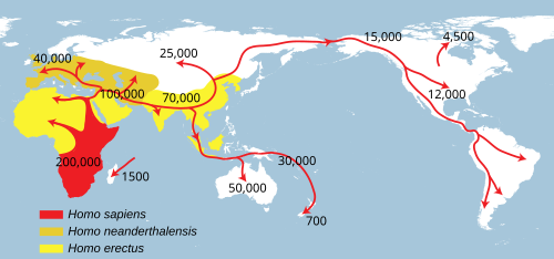 Map of early human migrations based on the Out of Africa theory[48]