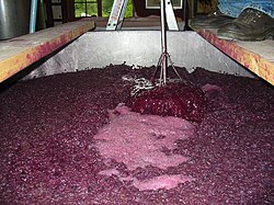 A cap of grape skins forms on the surface of fermenting red wine