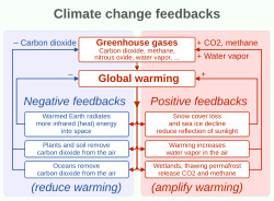 Some effects of global warming can either enhance (positive feedbacks such as increased water vapor concentration) or inhibit (negative feedbacks) warming.[48][49]