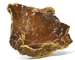 Wood opal