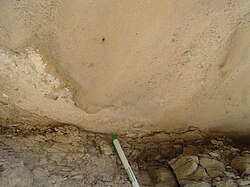 Flute cast from Book Cliffs area, Utah