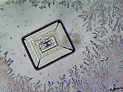Sodium chloride crystal under microscope.
