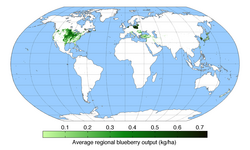 Worldwide highbush blueberry growing areas (data from 2008)