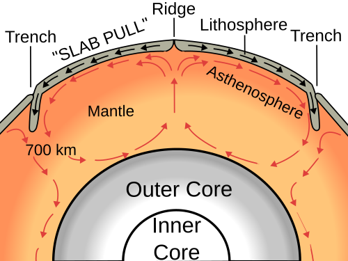 Oceanic crust is formed at an oceanic ridge, while the lithosphere is subducted back into the asthenosphere at trenches.