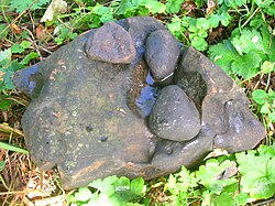 A bullaun made from rock-cut basins in Chapeltoun, Ayrshire, Scotland