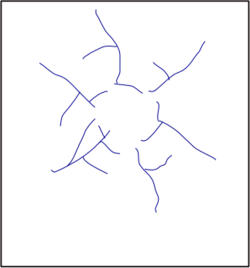 Annular drainage pattern