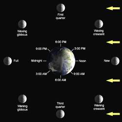 The time of day at a location on Earth (except at the poles) can be inferred from the culmination of the Moon in the sky and its phase: each lunar phase culminates closest to the zenith (being exactly south or north of it, crossing the meridian) in the sky at a specific daytime, as marked in the diagram, rising (east) and setting (west) during the time of the day preceding and succeeding the culmination.[11]
