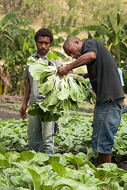 Homeless boys at the Christian NGO City Mission Farm learning vocational skills