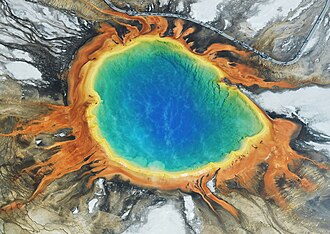 The bright colors of Grand Prismatic Spring in Yellowstone National Park are produced by thermophiles, a type of extremophile.