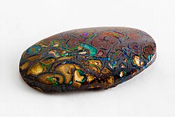 Polished opal from Yowah (Yowah Nut[23]), Queensland