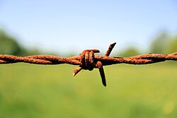 Close-up of a barbed wire