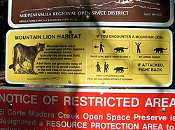 Mountain lion warning sign in California, U.S.