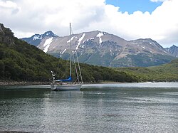 View of the Magellanic subpolar forests in Tierra del Fuego National Park, Argentina.